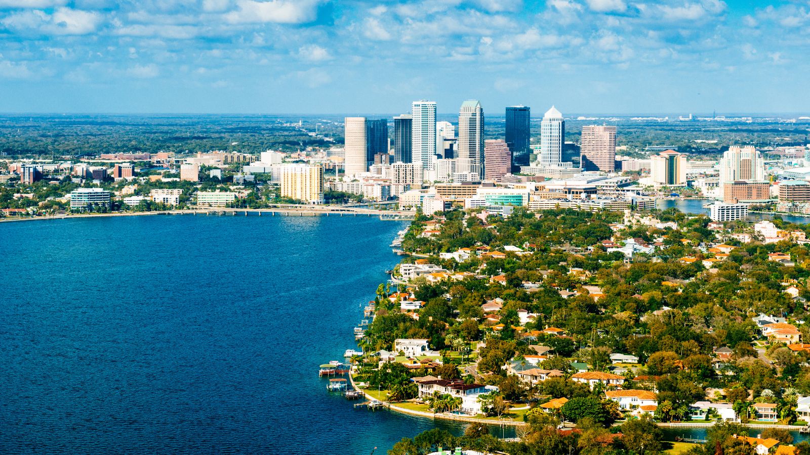 Apple Bass, MBA TOP TAMPA BAY REALTOR